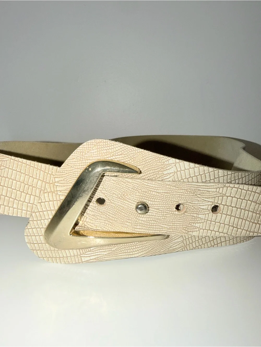 Vintage Shiny Beige Tan Embossed Snakeskin Wide Belt With Gold-Tone Detail